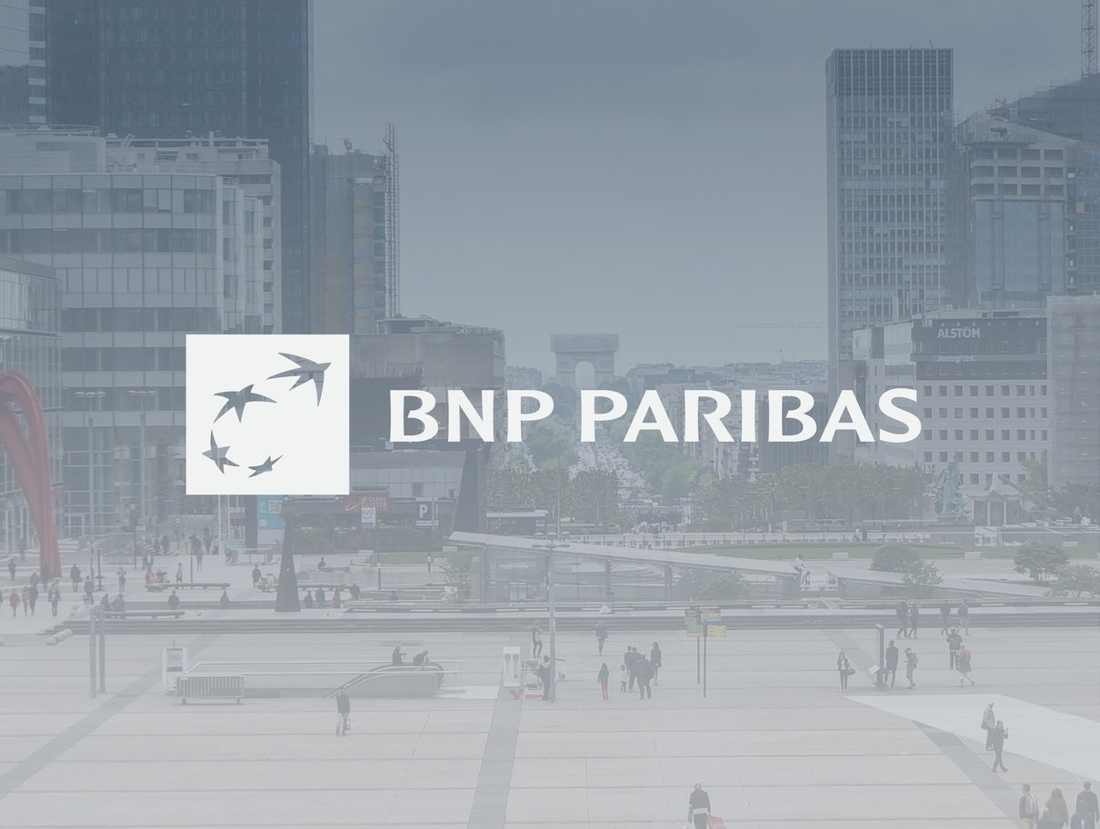 BNP-Customer Pages