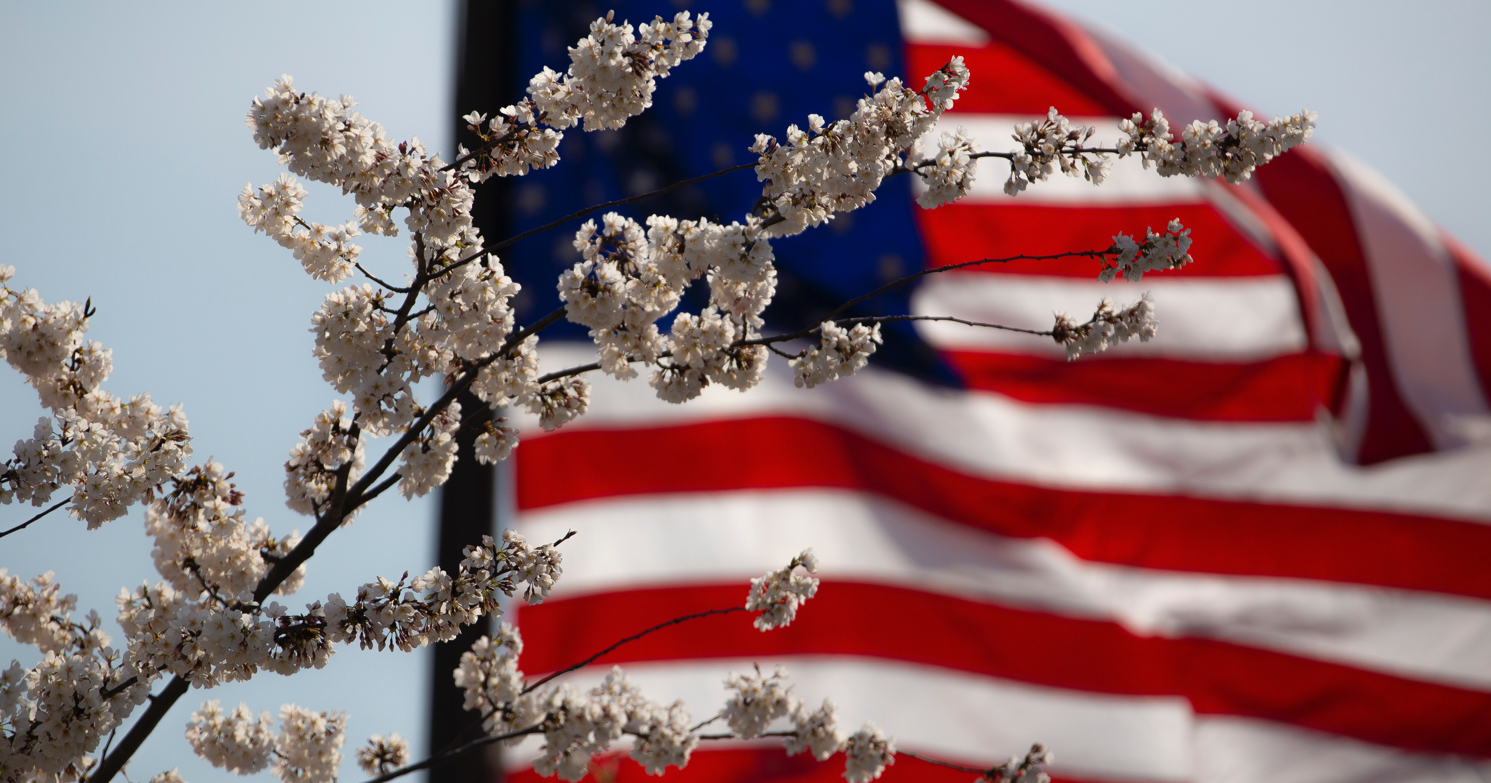 american flag banner