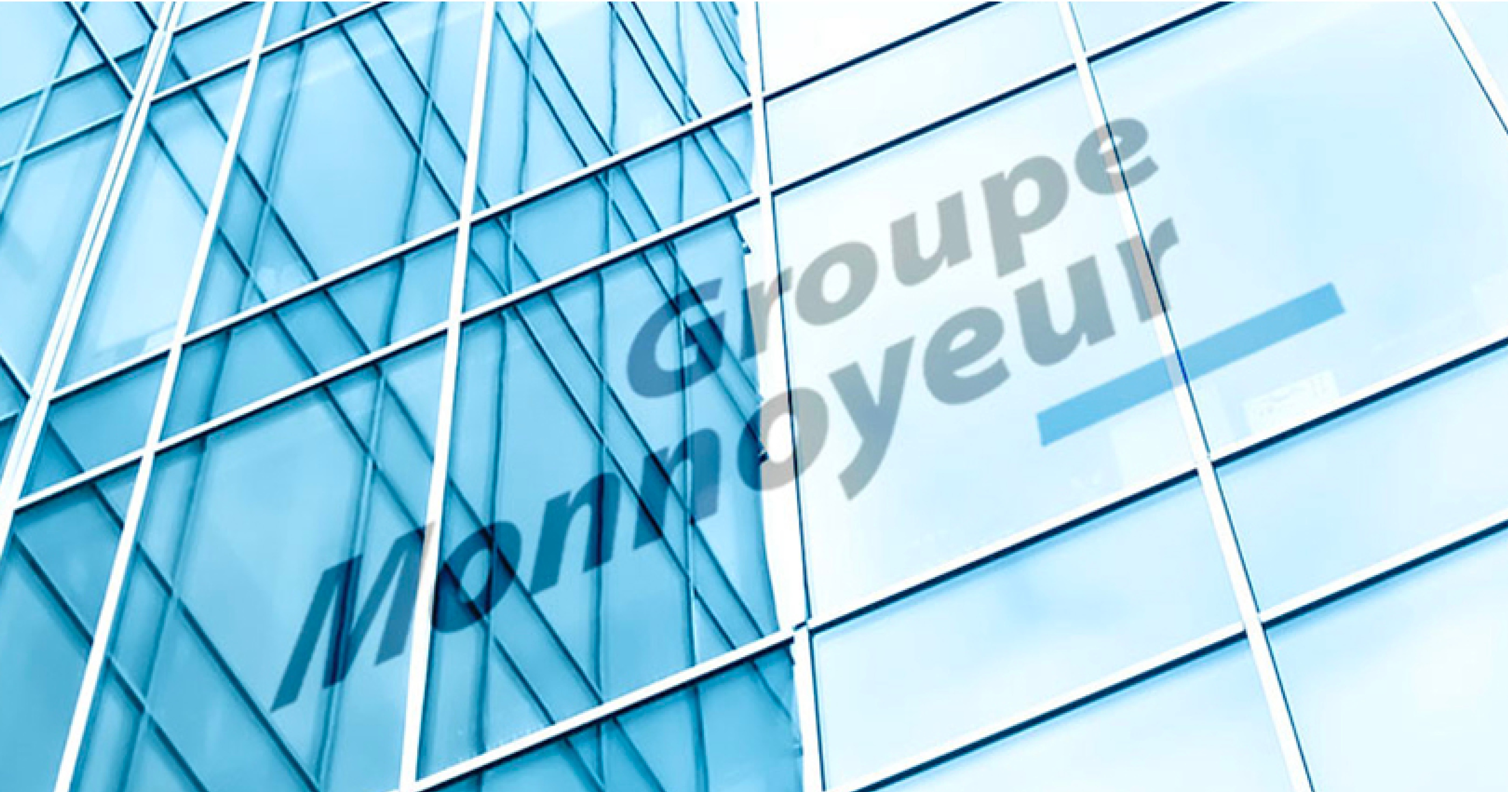 groupe-monnoyeur banner 2